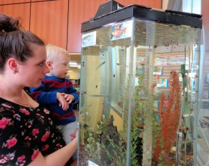 National Library Week 4-10 to 4-16 Erin & Anderson Lindblad